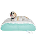 My boat’s lounge showcases an Ocean-Tamer mint green and white dog bed, where my fluffy pup relaxes comfortably onboard. marine bean bag