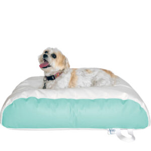 my boat’s lounge showcases an ocean-tamer mint green and white dog bed, where my fluffy pup relaxes comfortably onboard. marine bean bag